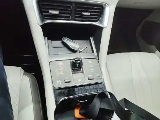 BYD Song PLUS New Energy 2025 (27400 км)