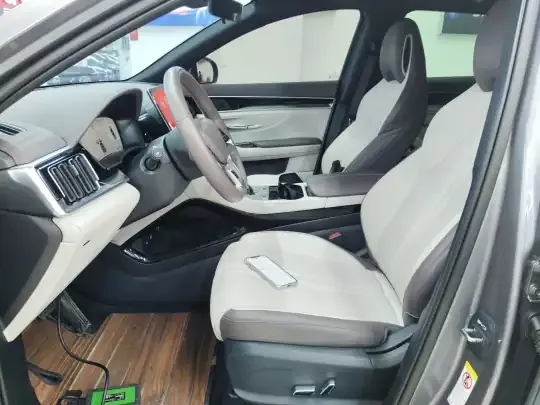 BYD Song PLUS New Energy 2025 (27400 км)