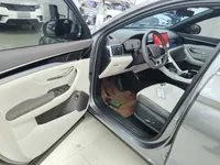 BYD Song PLUS New Energy 2025 (27400 км)