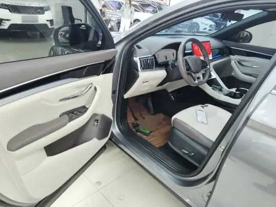 BYD Song PLUS New Energy 2025 (27400 км)