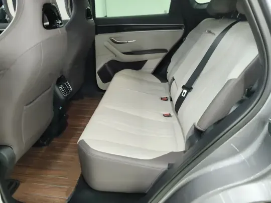 BYD Song PLUS New Energy 2025 (27400 км)