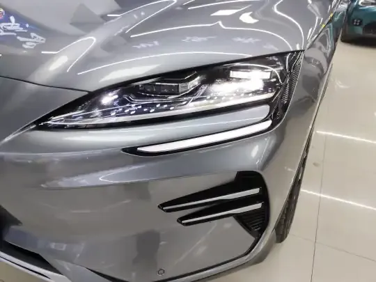 BYD Song PLUS New Energy 2025 (27400 км)