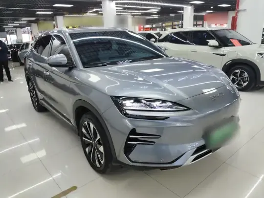 BYD Song PLUS New Energy 2025 (27400 км)
