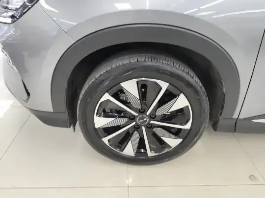 BYD Song PLUS New Energy 2025 (27400 км)