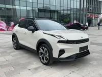Lynk & Co 06 2025 (3800 км)