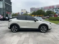 Lynk & Co 06 2025 (3800 км)