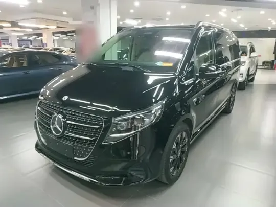 Mercedes-Benz V-Class 2024 (6200 км)