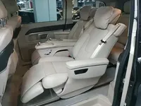 Mercedes-Benz V-Class 2024 (6200 км)