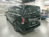 Mercedes-Benz V-Class 2024 (6200 км)