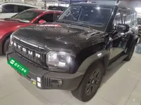 JETOUR Shanhai Traveler C-DM 2024 (21100 км)
