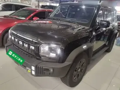 JETOUR Shanhai Traveler C-DM 2024 (21100 км)