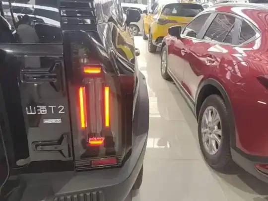 JETOUR Shanhai Traveler C-DM 2024 (21100 км)