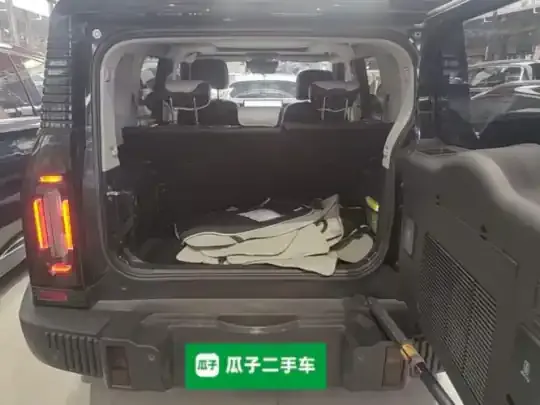 JETOUR Shanhai Traveler C-DM 2024 (21100 км)