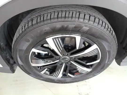 BYD Sealion 05 DM-i 2025 (15300 км)