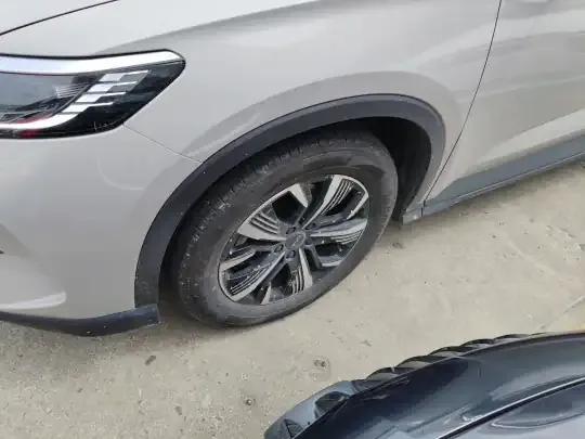BYD Sealion 05 DM-i 2025 (28600 км)