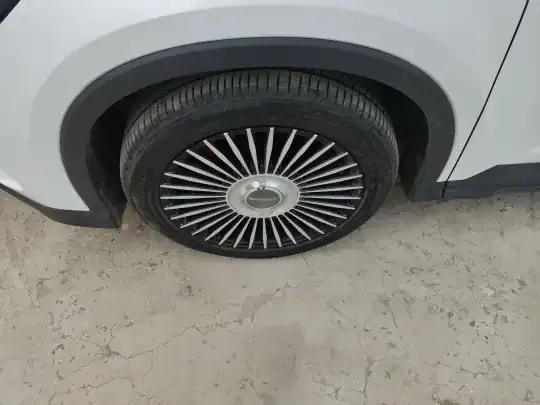 BYD Sealion 05 DM-i 2025 (12300 км)