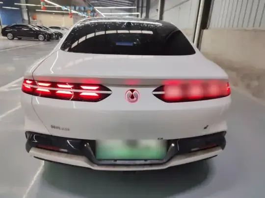 Denza Z9GT 2024 (1300 км)