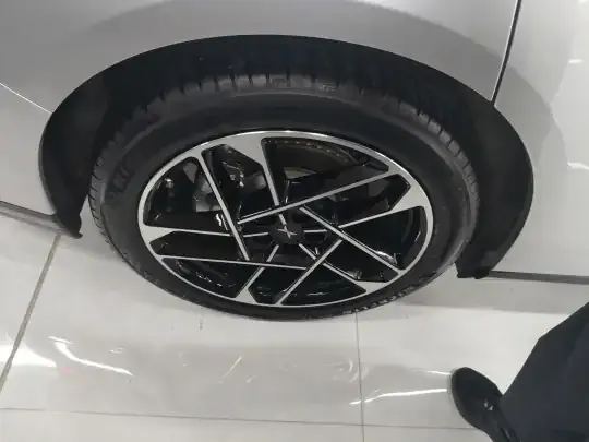 XPeng P7+ 2024 (7300 км)
