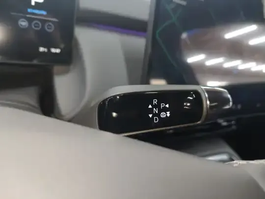 XPeng P7+ 2024 (7300 км)