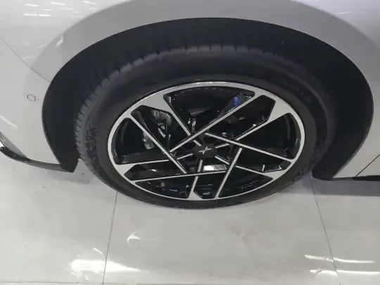 XPeng P7+ 2024 (7300 км)