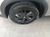 Dongfeng Aeolus L7 New Energy 2024 (9400 км)