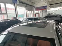 Dongfeng Aeolus L7 New Energy 2024 (9400 км)