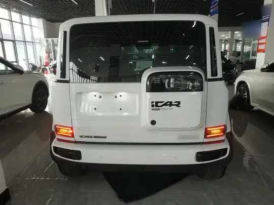 ICAR V23 2025 (8800 км)