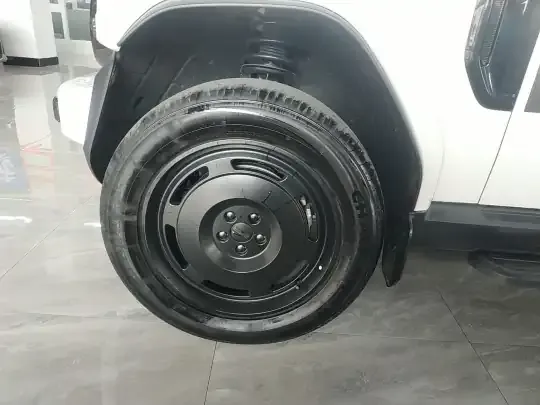 ICAR V23 2025 (8800 км)