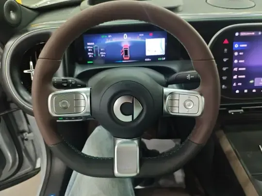 smart #5 2024 (4100 км)