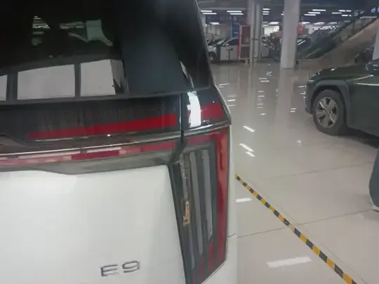 GAC Trumpchi E9 2025 (3500 км)
