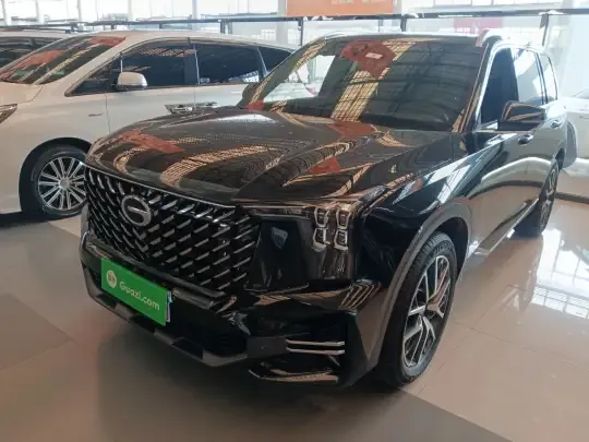 GAC Trumpchi GS8 2025 (24600 км)