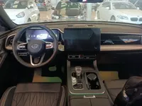 GAC Trumpchi GS8 2025 (24600 км)