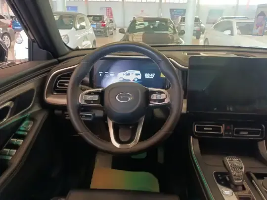 GAC Trumpchi GS8 2025 (24600 км)