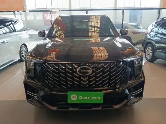 GAC Trumpchi GS8 2025 (24600 км)