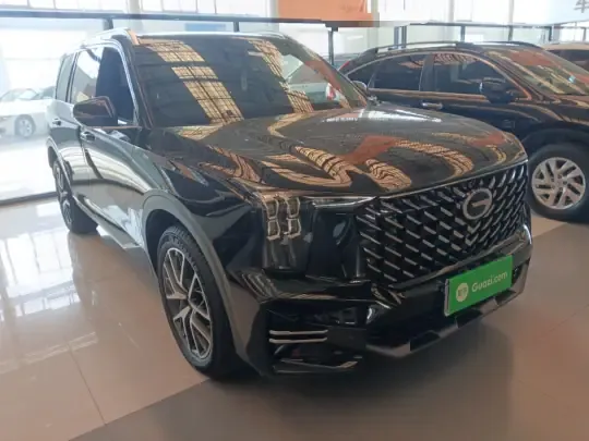 GAC Trumpchi GS8 2025 (24600 км)