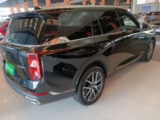 GAC Trumpchi GS8 2025 (24600 км)