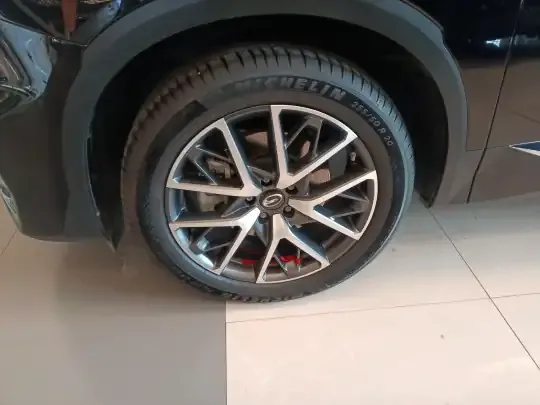 GAC Trumpchi GS8 2025 (24600 км)