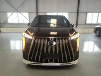 GAC Trumpchi M8 2025 (10800 км)