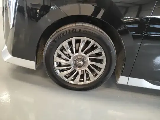 GAC Trumpchi M8 2025 (10800 км)