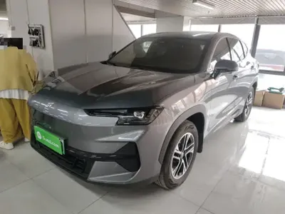 JETOUR Shanhai L6 2024 (14100 км)