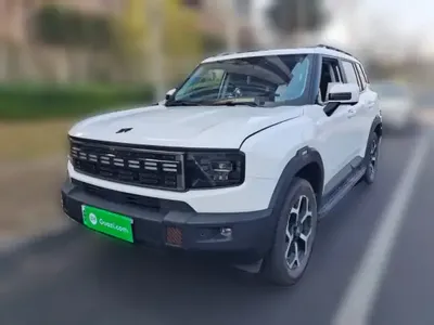 JETOUR Shanhai Shanhai T1 2025 (13799 км)