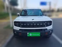 JETOUR Shanhai Shanhai T1 2025 (13799 км)