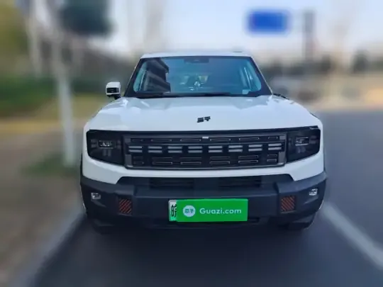 JETOUR Shanhai Shanhai T1 2025 (13799 км)