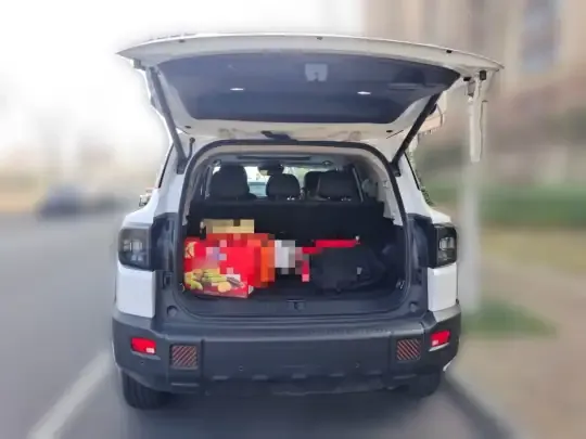 JETOUR Shanhai Shanhai T1 2025 (13799 км)