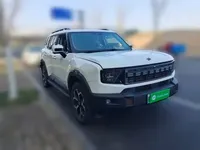 JETOUR Shanhai Shanhai T1 2025 (13799 км)