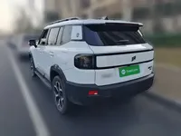 JETOUR Shanhai Shanhai T1 2025 (13799 км)