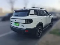 JETOUR Shanhai Shanhai T1 2025 (13799 км)