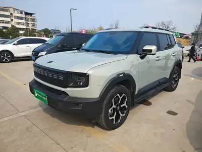 JETOUR Shanhai T1 2025 (13799 км)
