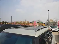 JETOUR Shanhai T1 2025 (13799 км)