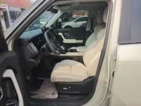 JETOUR Shanhai T1 2025 (13799 км)